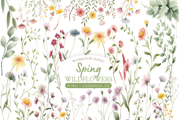 Download Watercolor Wildflower Clipart Bundle - Wildflower clipart Collection